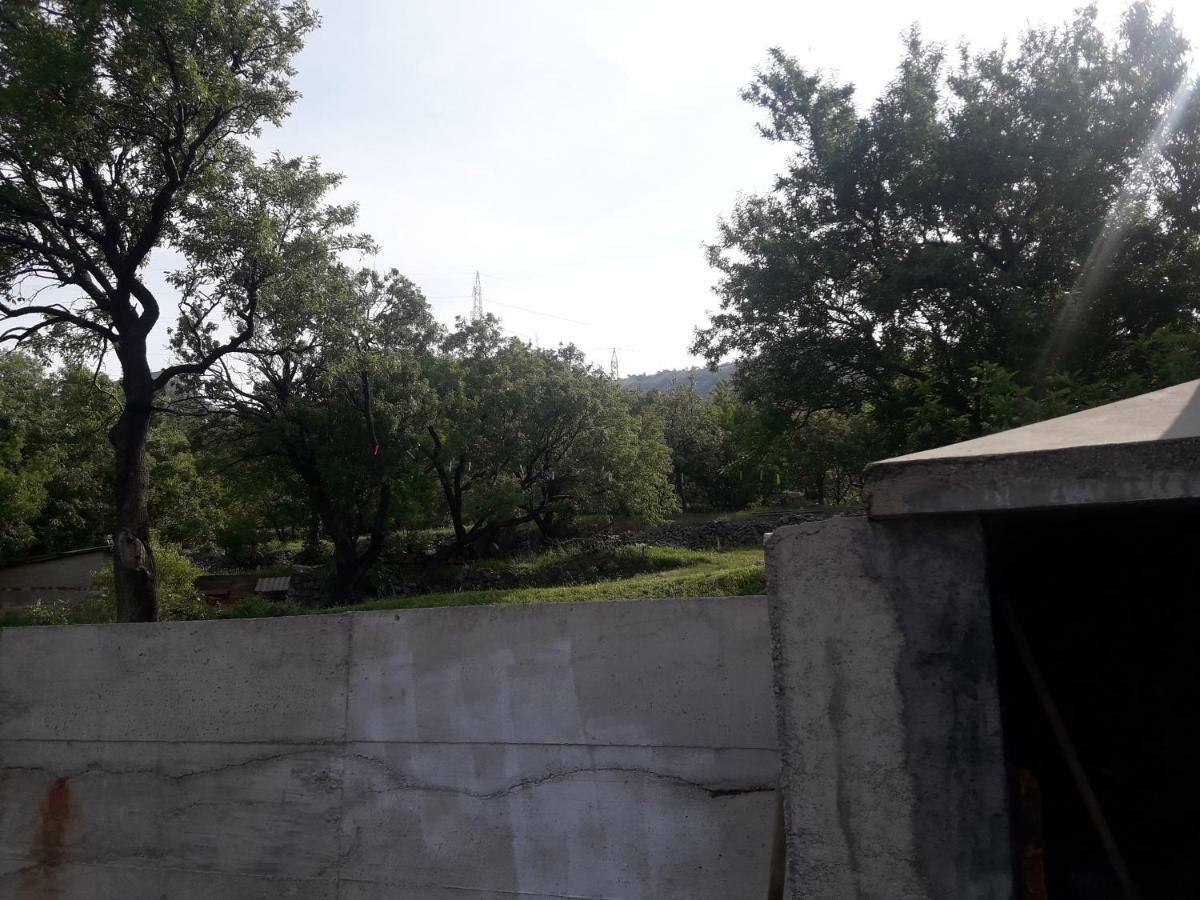 Apartment Tin سينج المظهر الخارجي الصورة